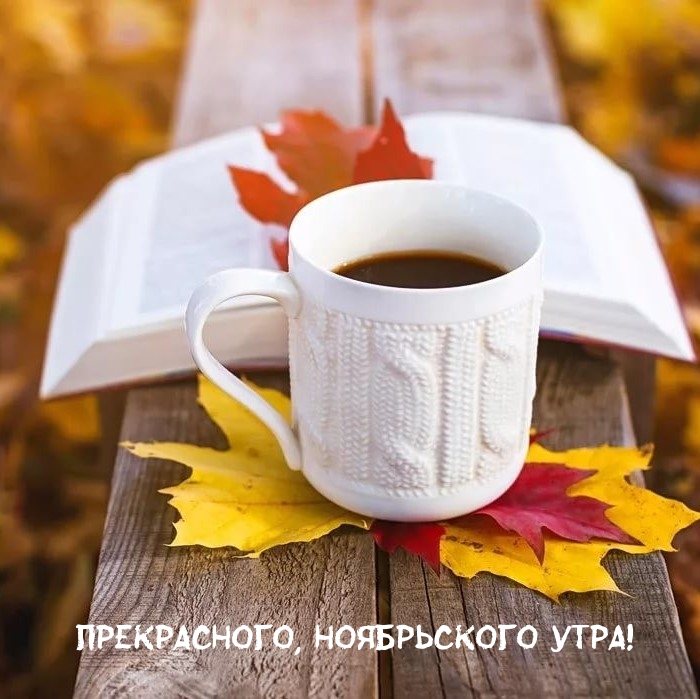Прекрасного, ноябрьского Утра!