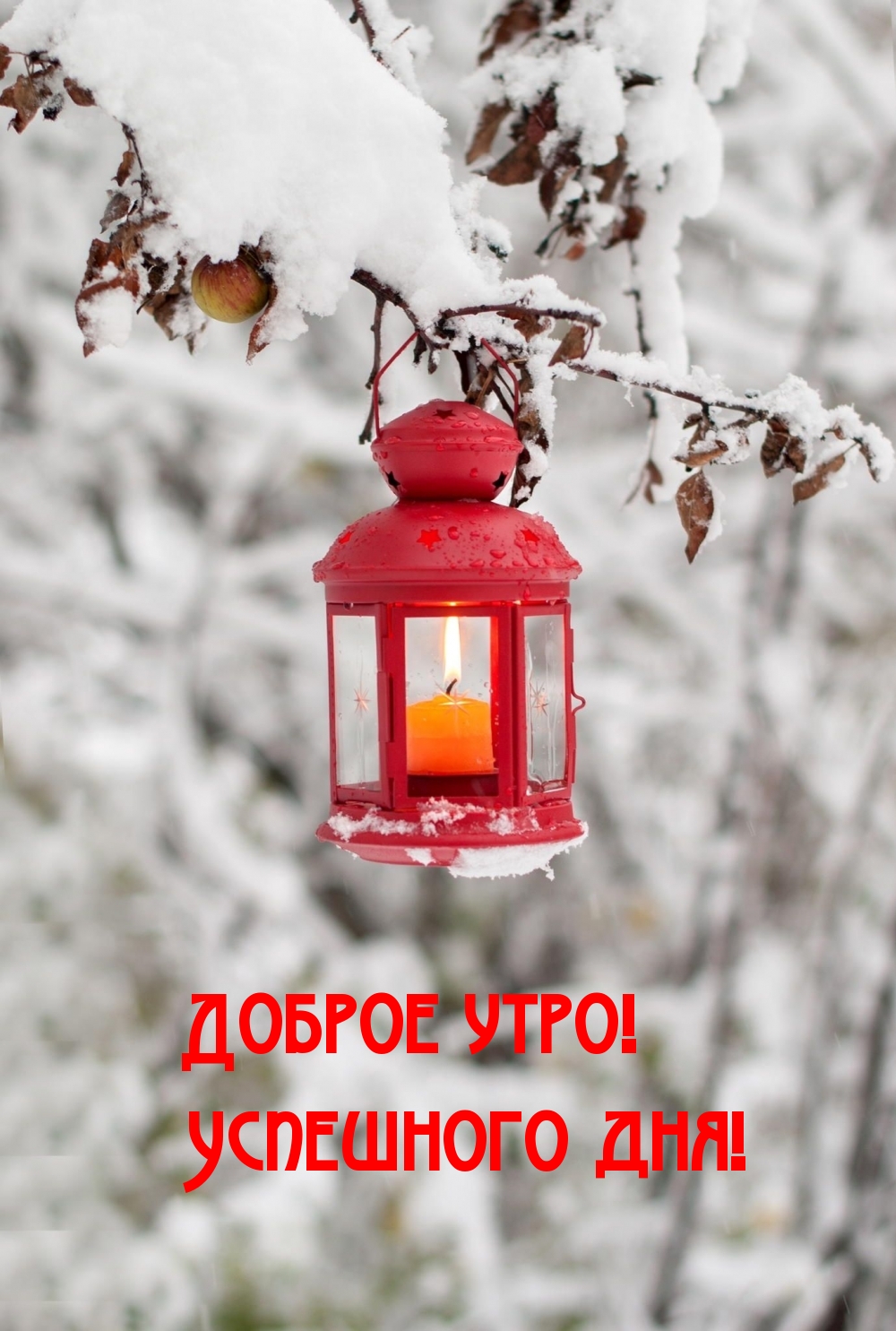 Доброе утро! Успешного дня!
