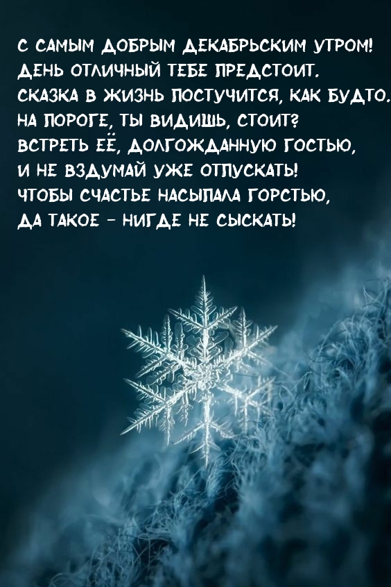 С самым добрым декабрьским утром!