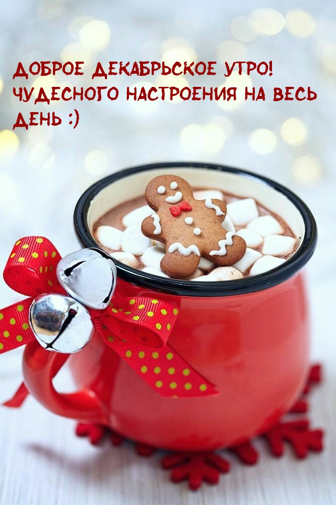 Доброе декабрьское утро!