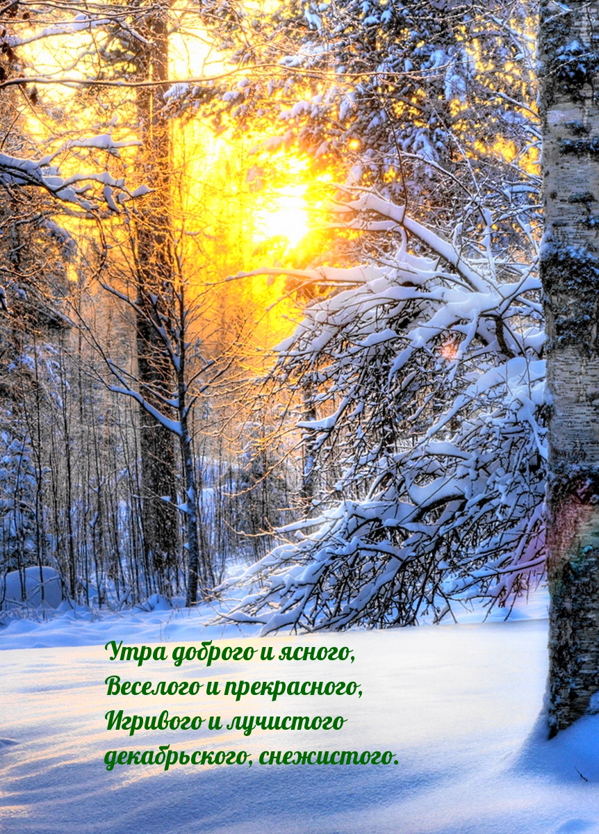 Утра доброго и ясного декабрьского