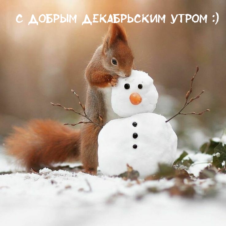 С добрым декабрьским утром :)