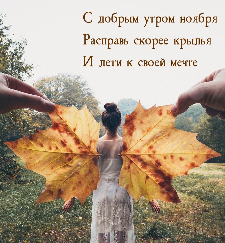 С добрым утром ноября! Расправь крылья!