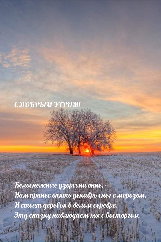 Белоснежные узоры на окне, с добрым утром!