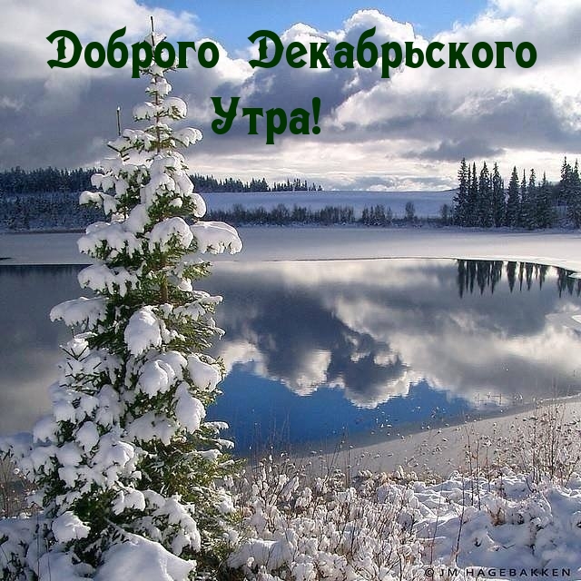 Доброго Декабрьского Утра!