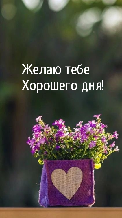 Желаю тебе Хорошего дня!