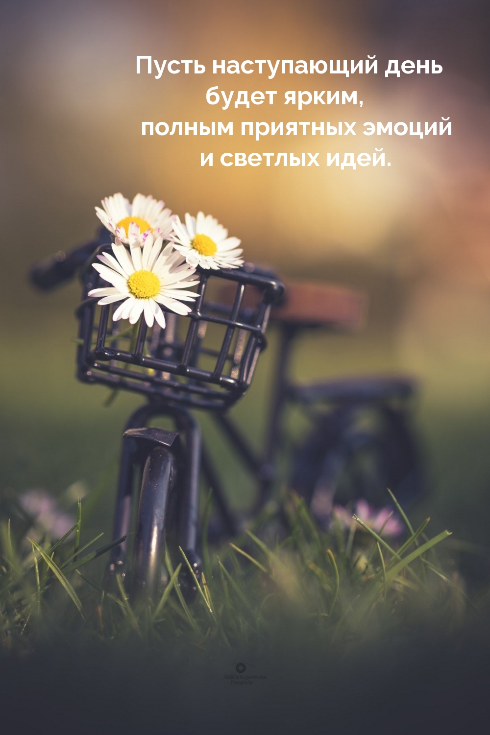 Пусть наступающий день будет ярким