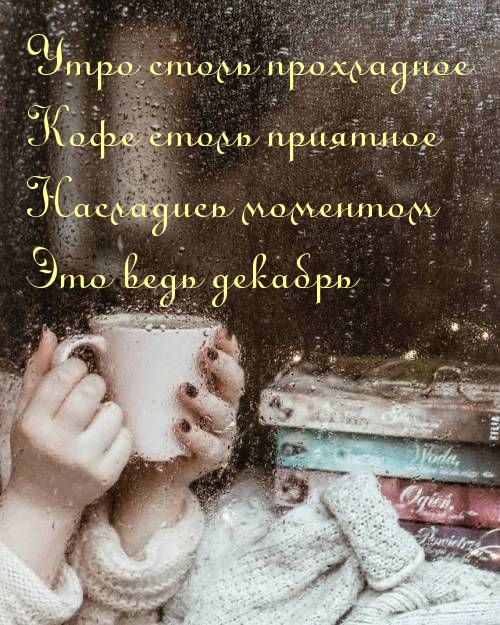 Утро столь прохладное! Это ведь декабрь