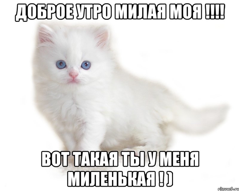 Картинка - Доброе утро, милая моя!.