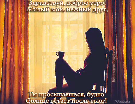 Здравствуй! Доброе утро, милый мой!
