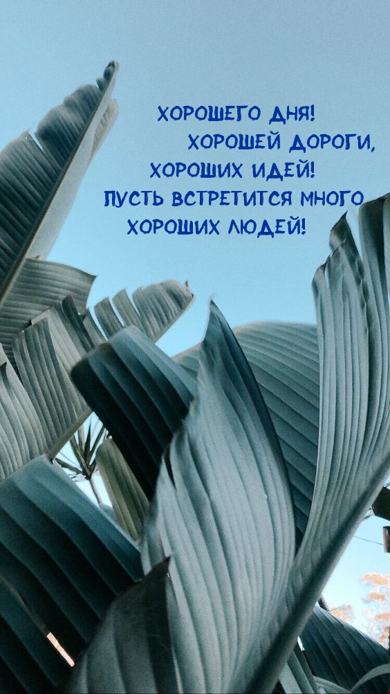 Хорошего дня! Хорошей дороги