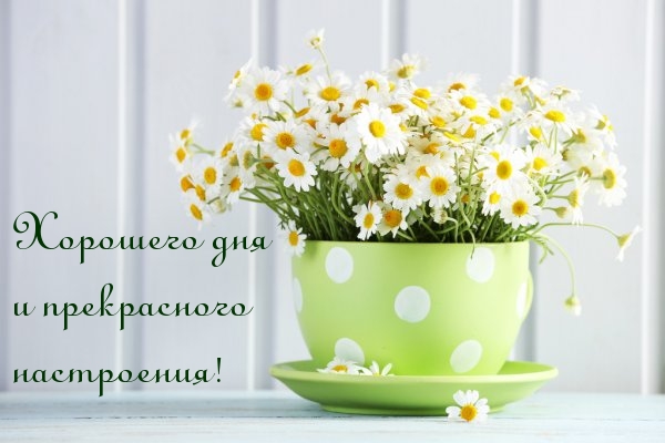 Хорошего дня и прекрасного настроения!