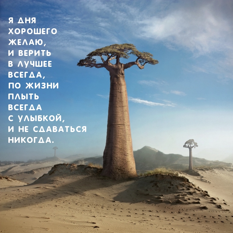 Я дня хорошего желаю!