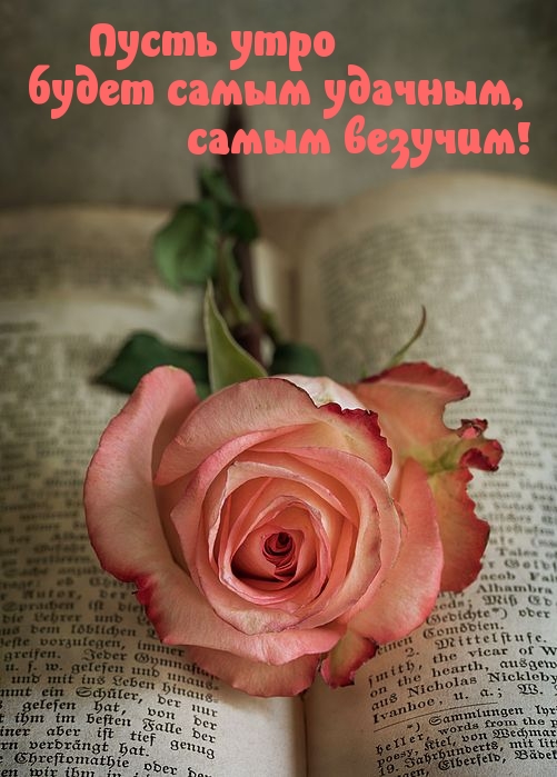 Пусть утро будет самым удачным и везучим!
