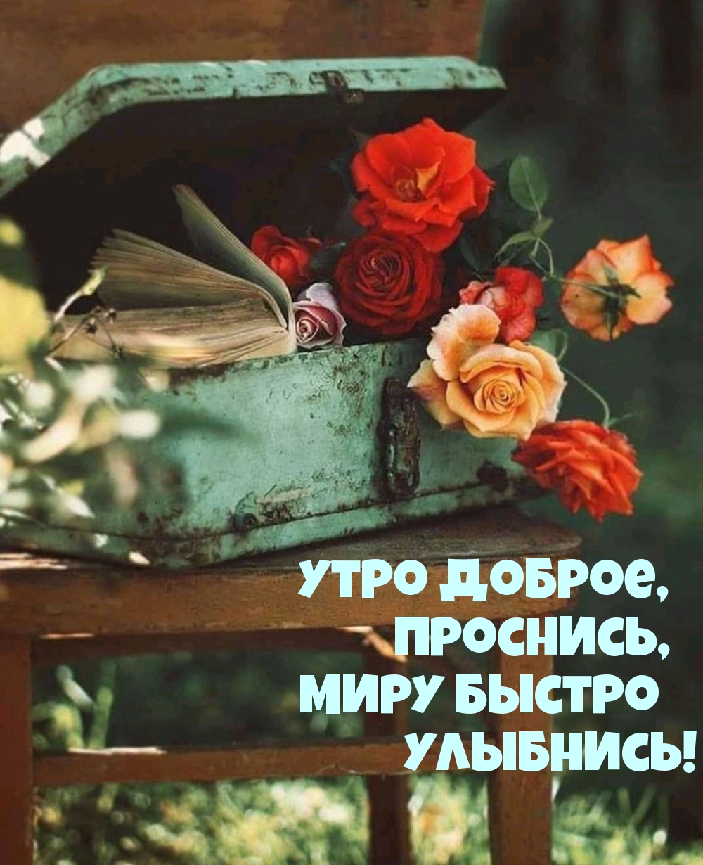 Утро доброе, проснись! Миру улыбнись)