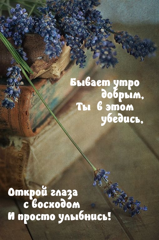Бывает утро добрым, ты в этом убедись