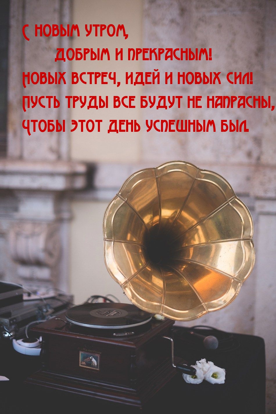 С новым утром, добрым и прекрасным!