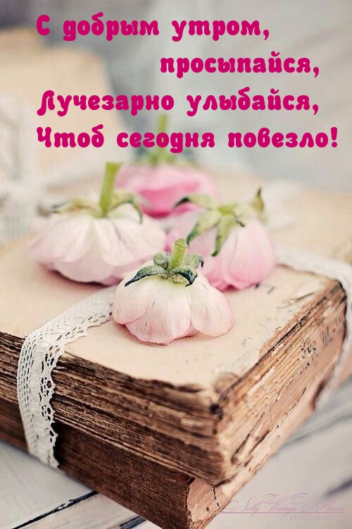 С добрым утром, просыпайся, лучезарно улыбайся