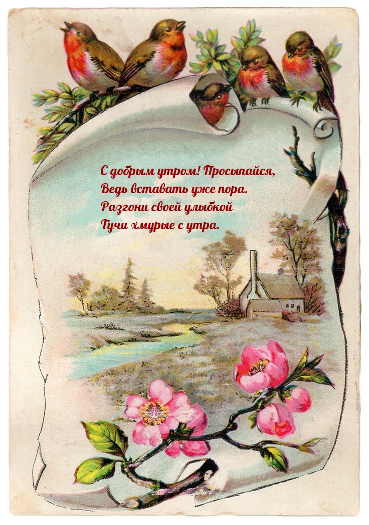Вставать уже пора! Просыпайся!