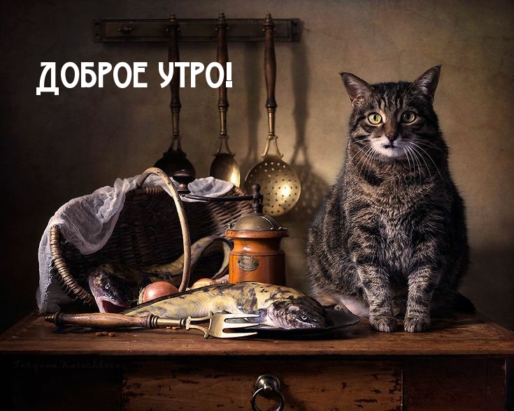 Доброе утро!