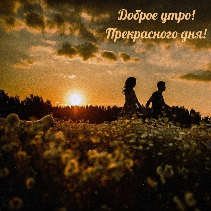Доброе утро! Прекрасного дня!