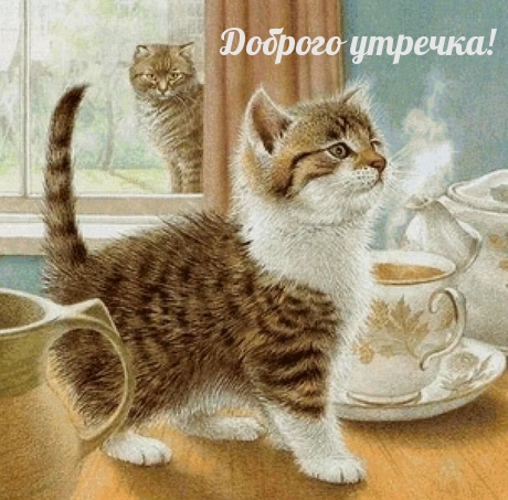 Доброго утречка!