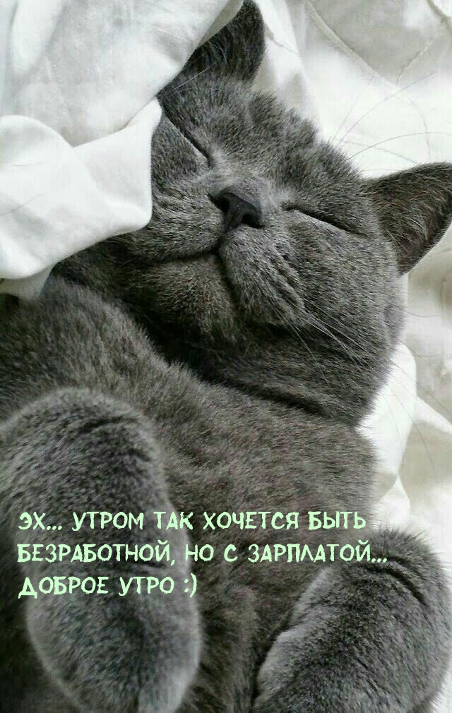 Утром так хочется быть Безработной