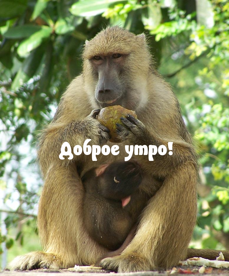 Доброе утро!