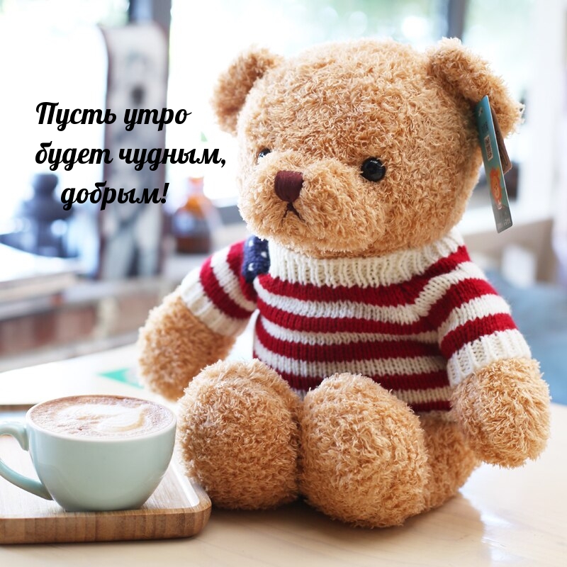 Пусть утро будет чудным, добрым!