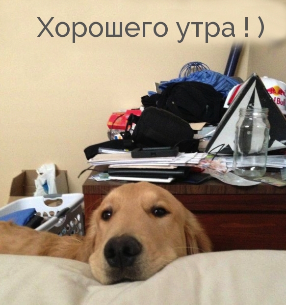 Хорошего утра! )