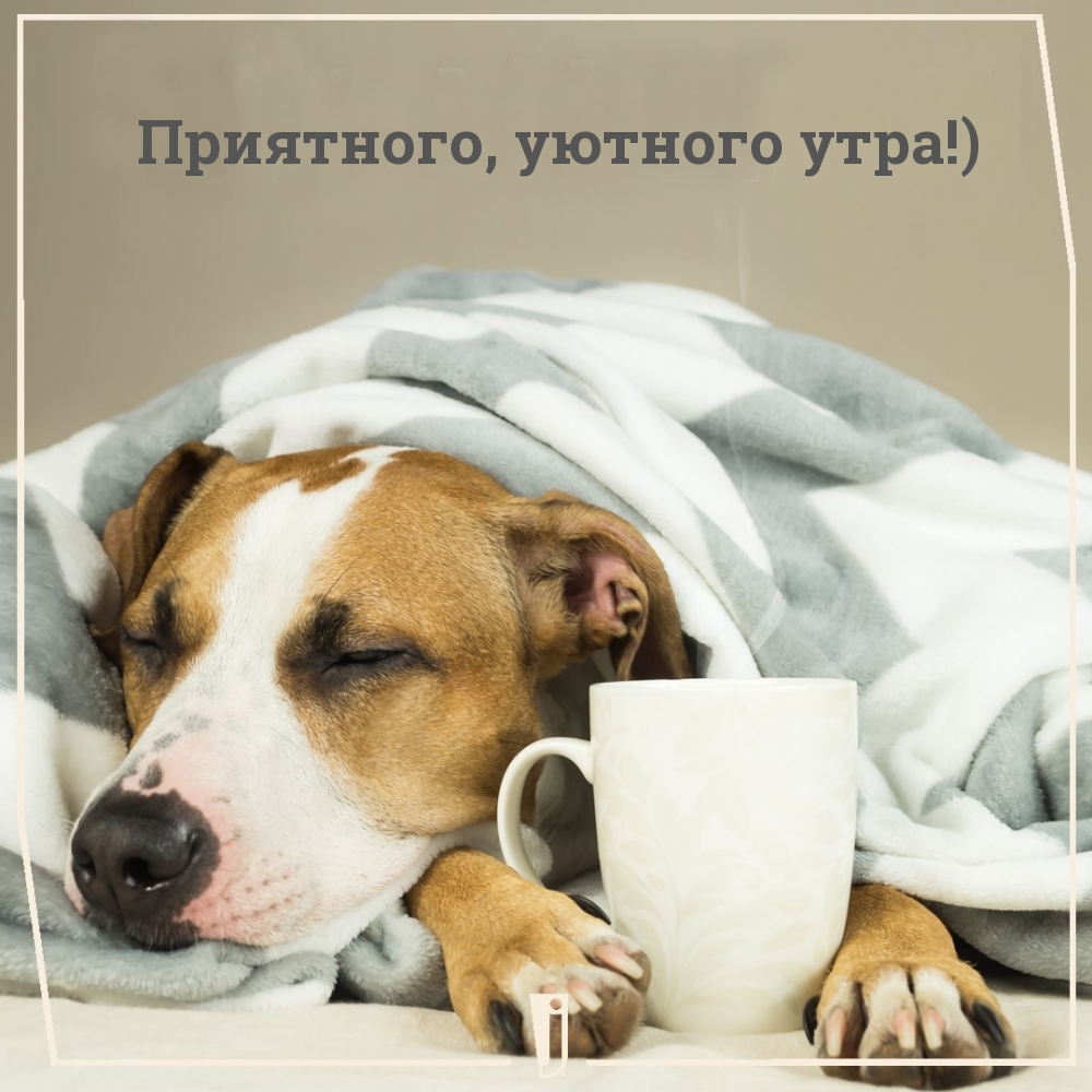 Приятного, уютного утра!)