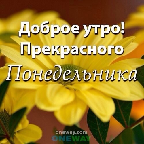 Картинка - Доброе утро, прекрасного понедельника!.