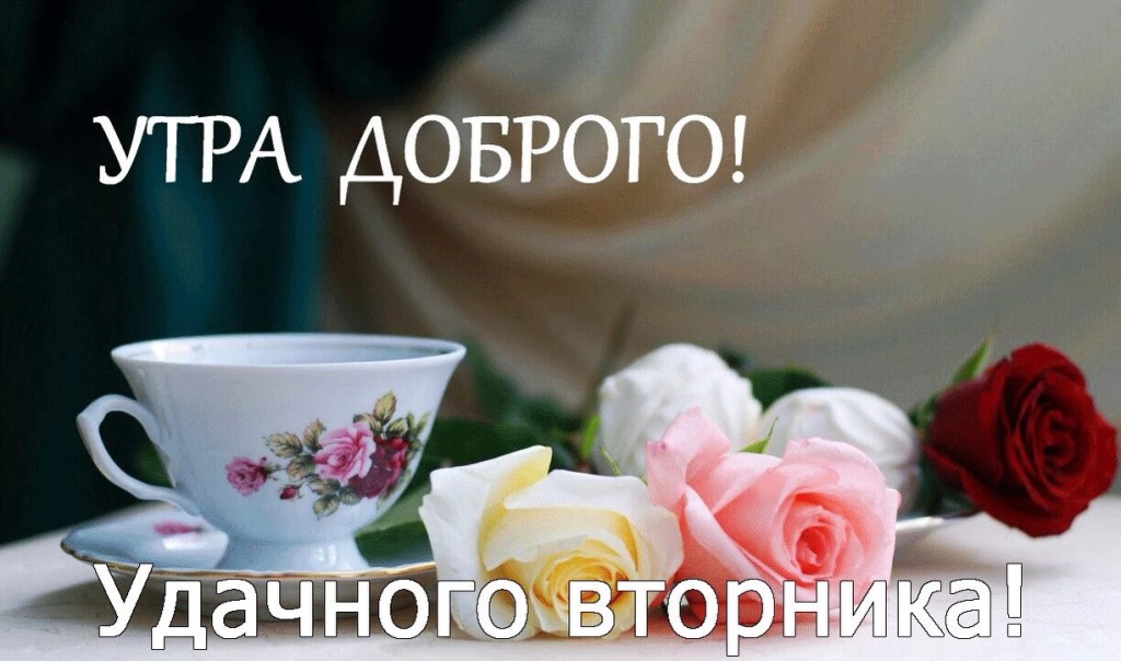 Утра доброго! Удачного вторника!