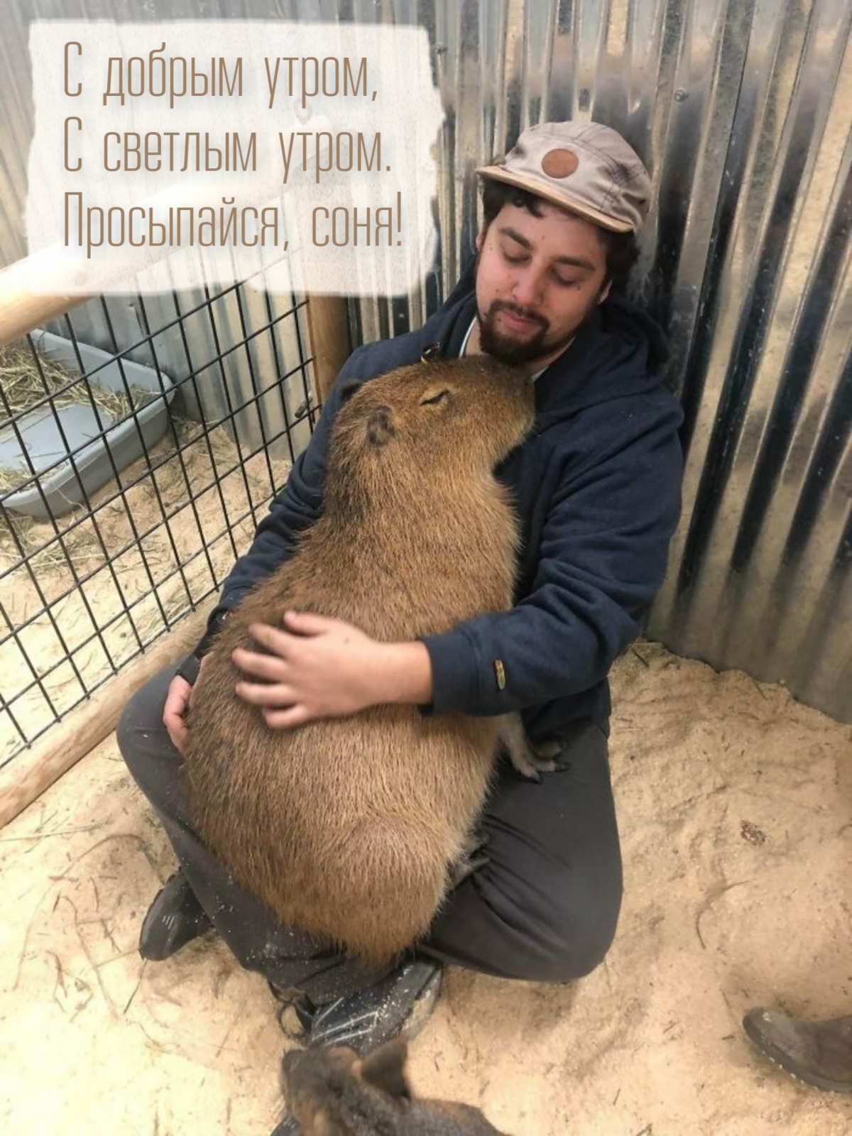 С добрым утром, С светлым утром. Просыпайся, соня!