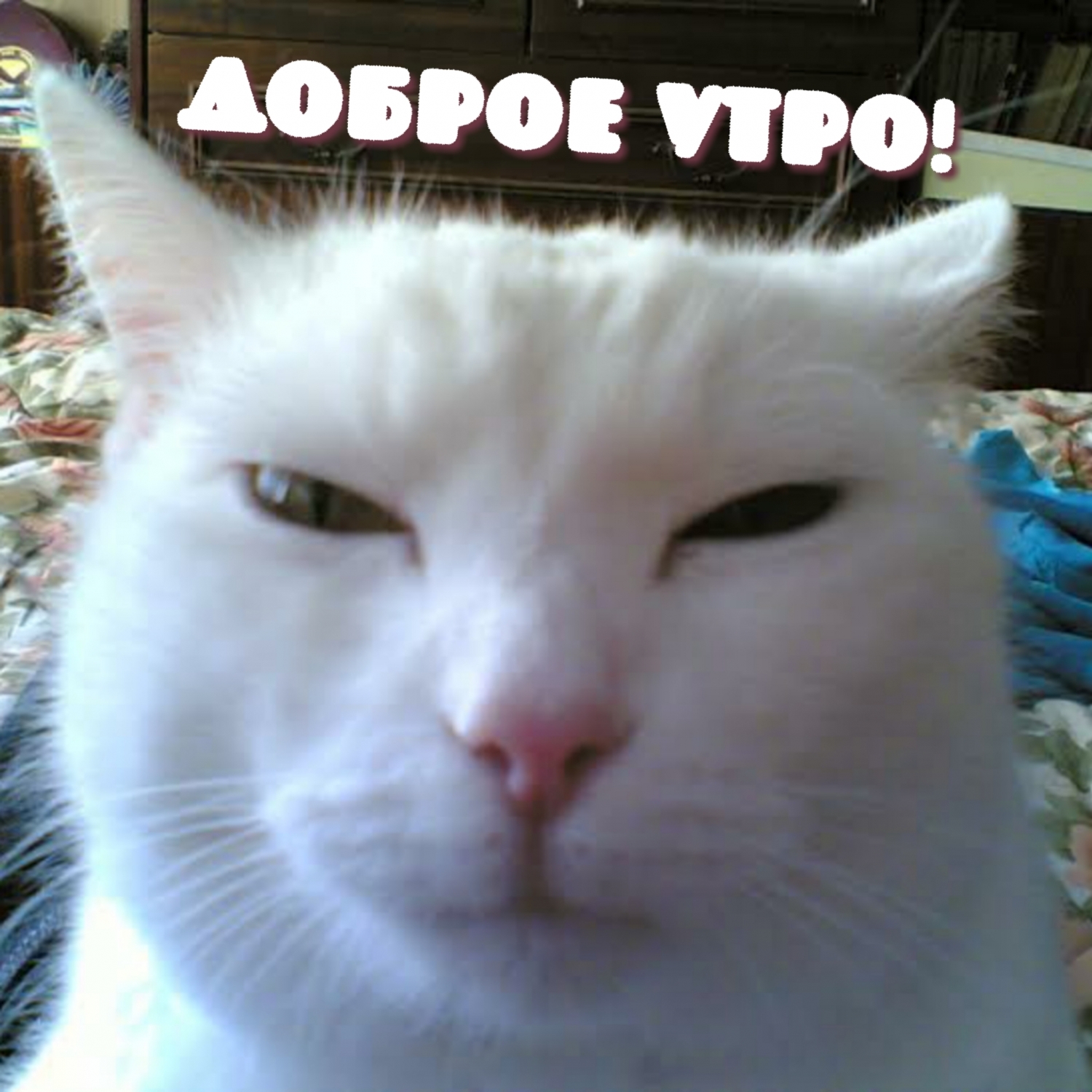 Доброе утро!