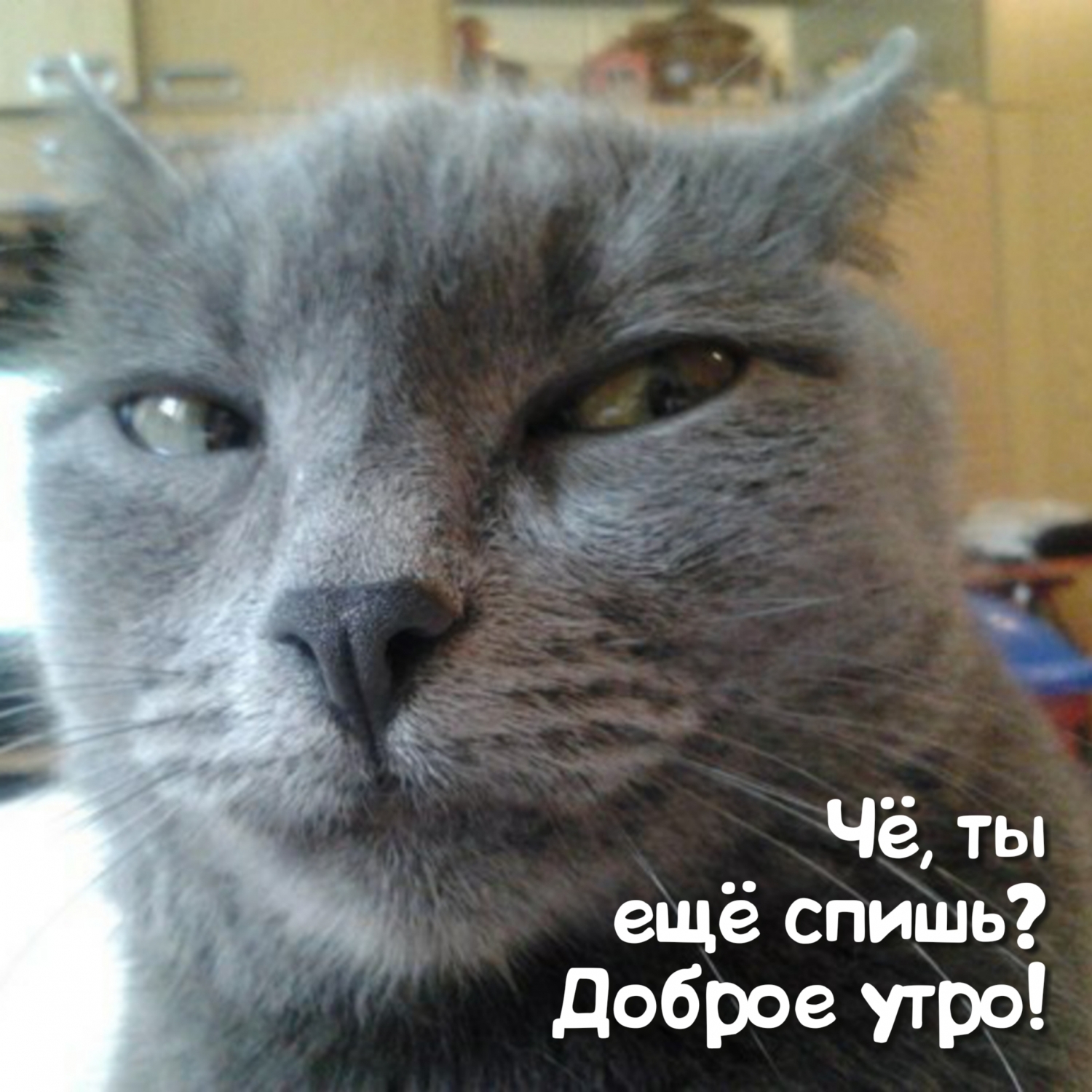 Чё, ты ещё спишь? Доброе утро!