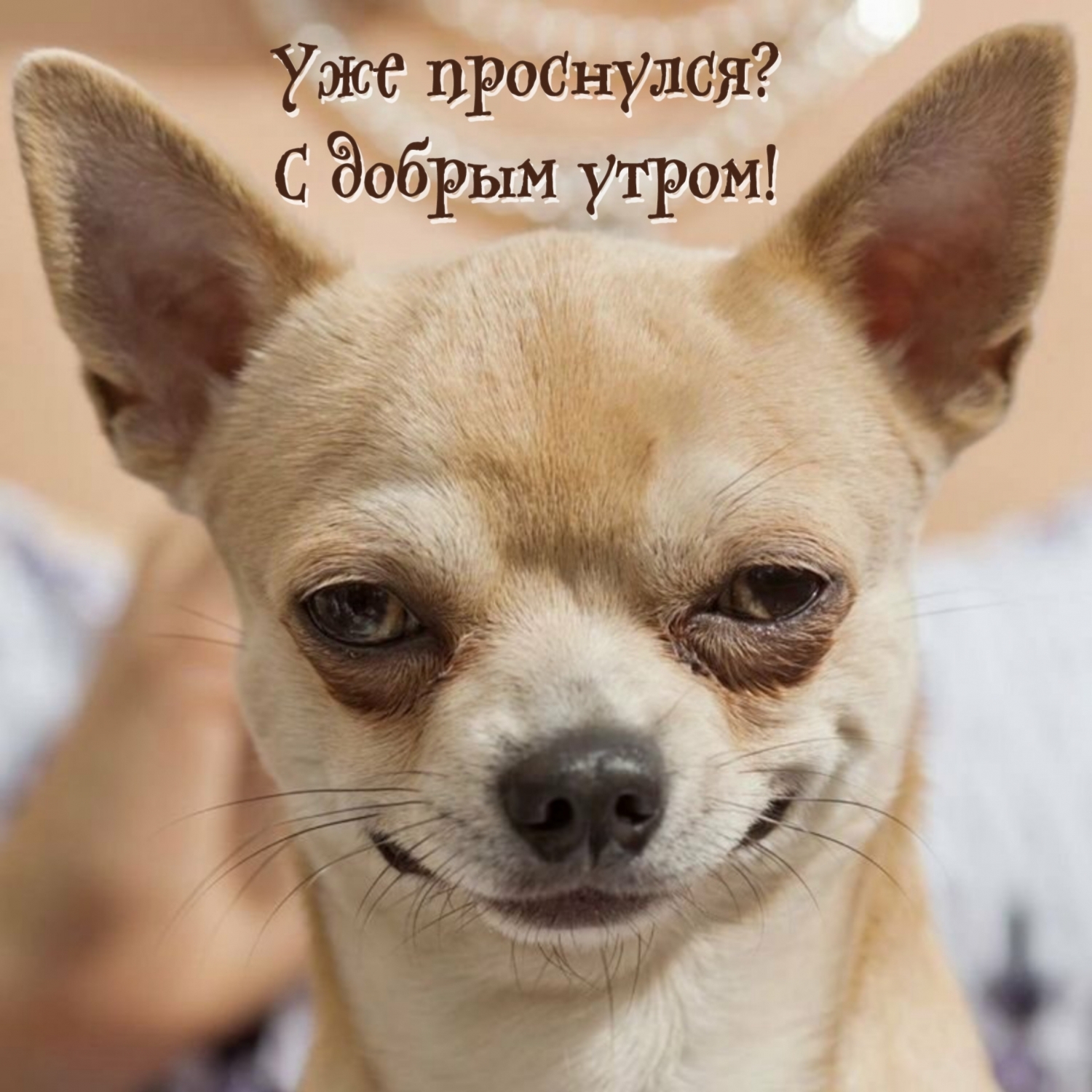 Уже проснулся? С добрым утром!