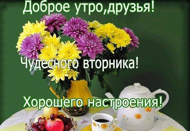 Доброе утро, друзья! Удачного вторника!