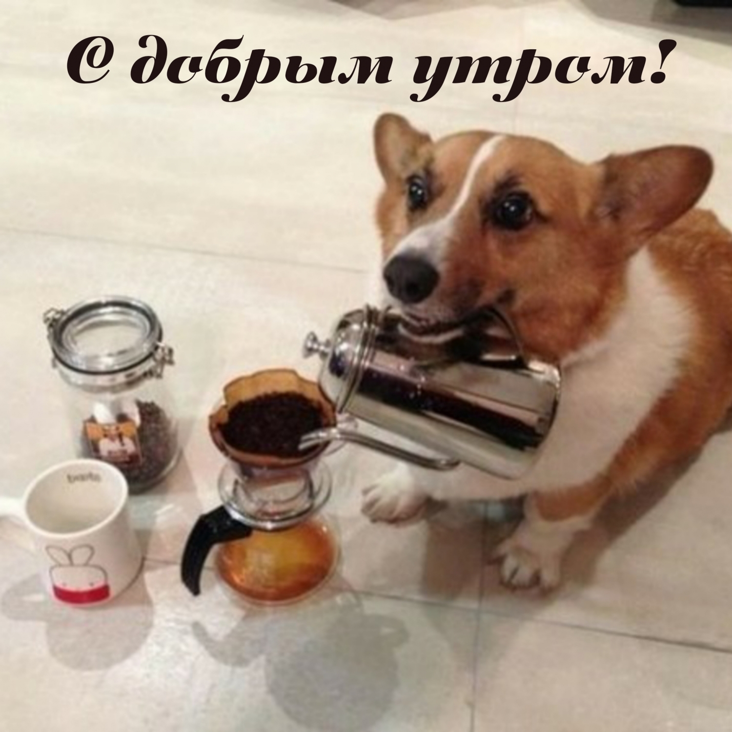 С добрым утром!
