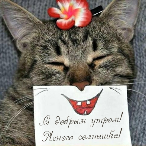 С добрым утром! Ясного солнышка!