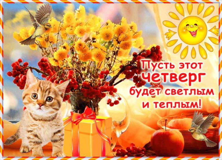 Пусть этот четверг будет светлым и теплым!