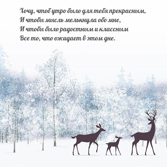 Хочу, чтоб утро было для тебя прекрасным