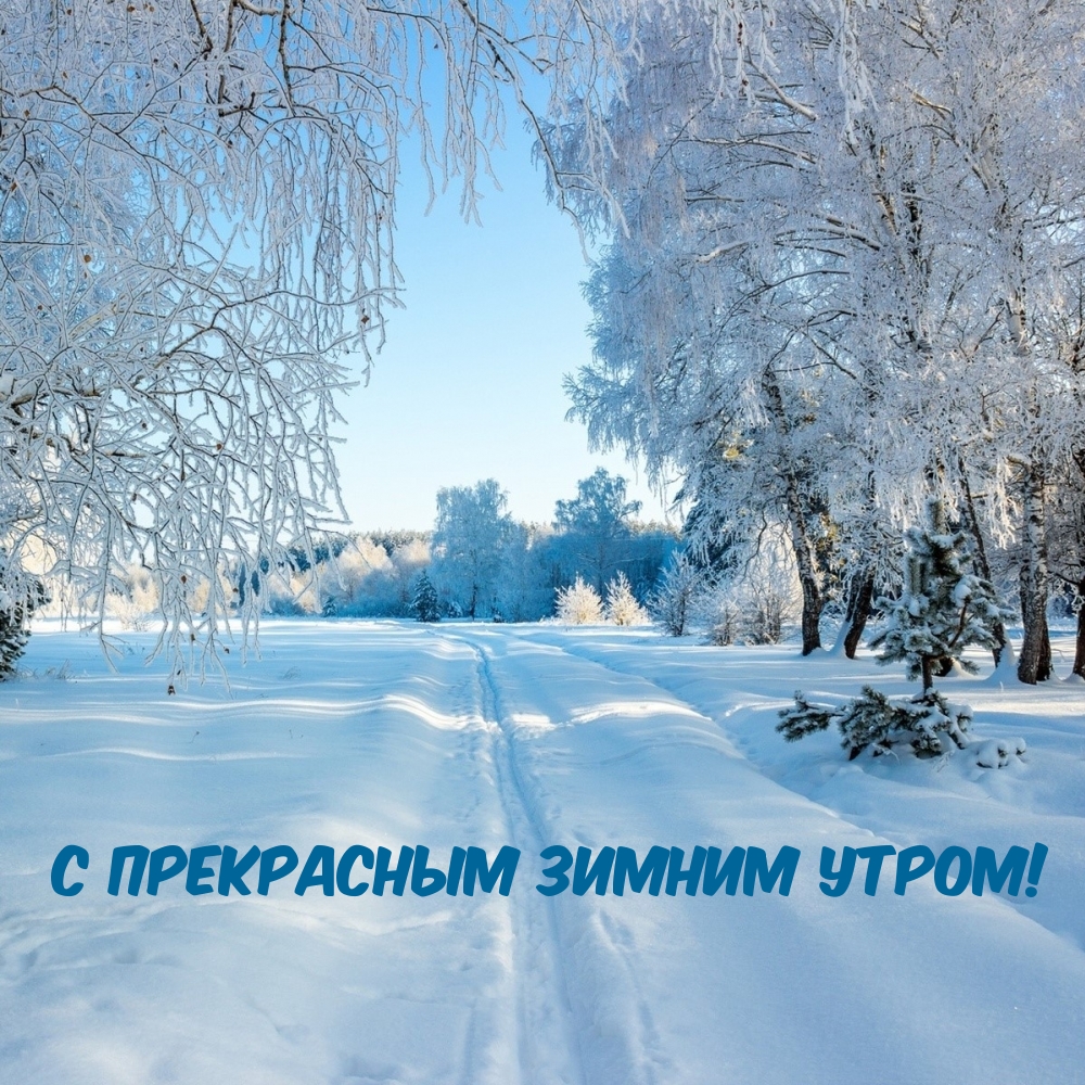 С Прекрасным Зимним Утром!