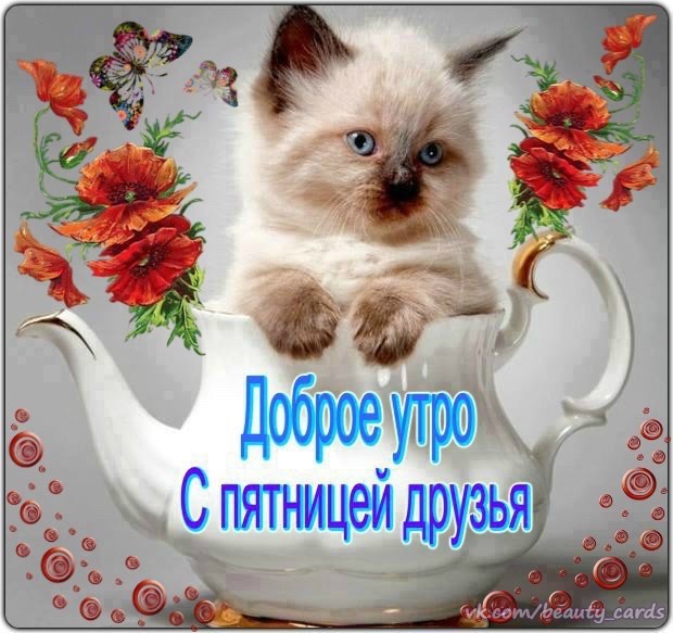 Картинка - Доброе утро! С пятницей друзья!.