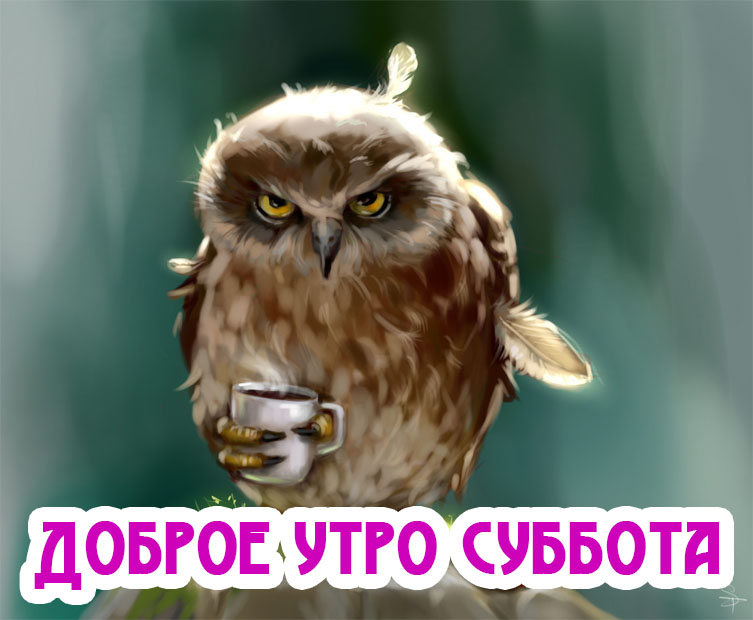 Доброе утро субботы!