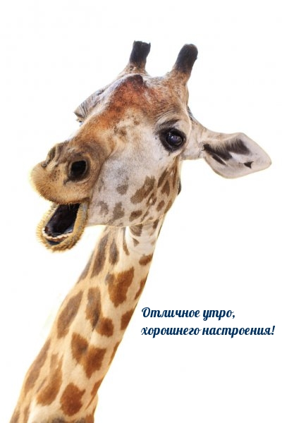 Отличное утро, хорошнего настроения!