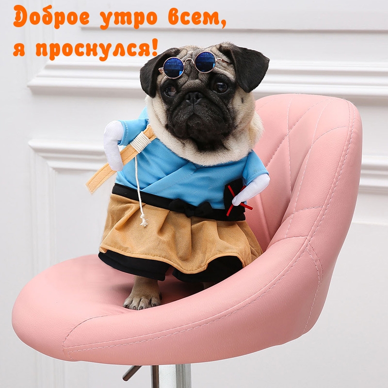 Доброе утро всем, я проснулся!