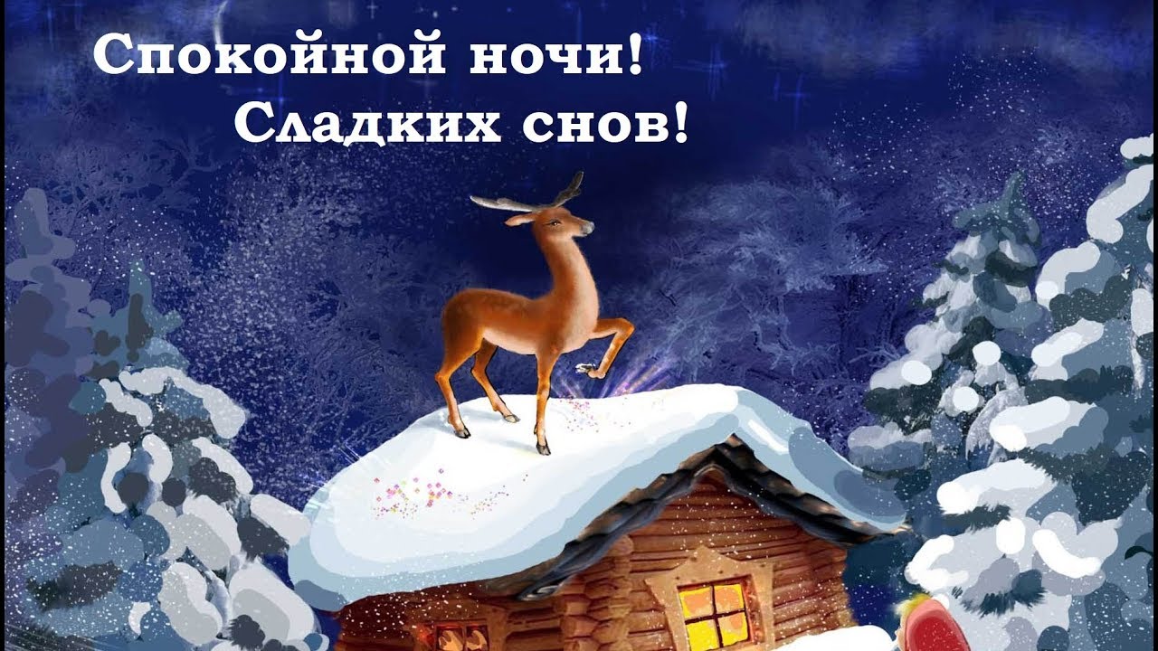Спокойной ночи, сладких снов!