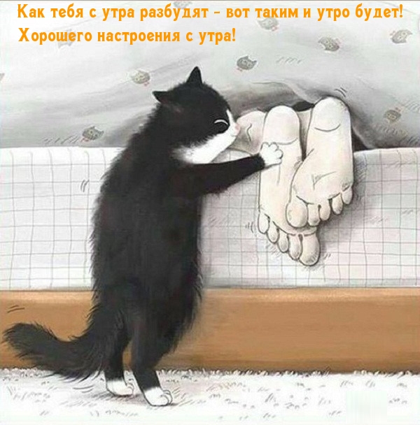 Как тебя с утра разбудят — вот таким и утро будет!