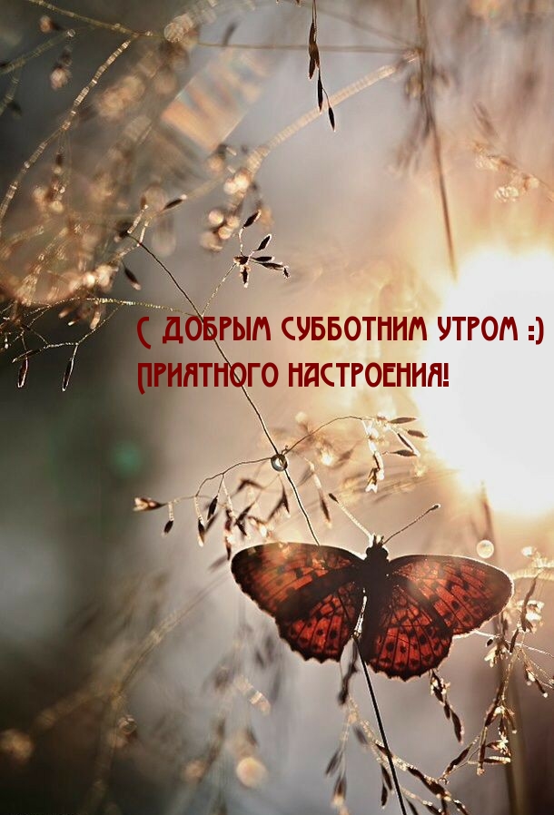 С добрым субботним утром :) Приятного настроения!